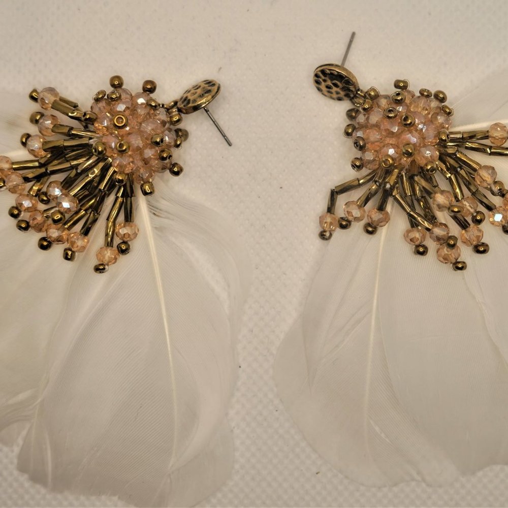 Fancy Feathers - Picture 5 of 5